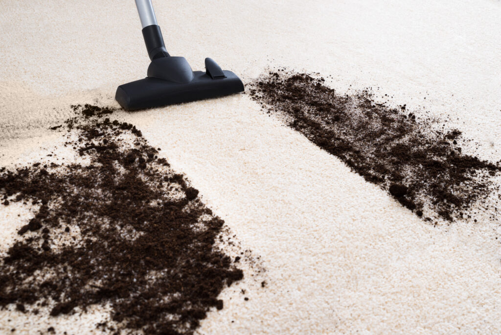 carpet cleaning service