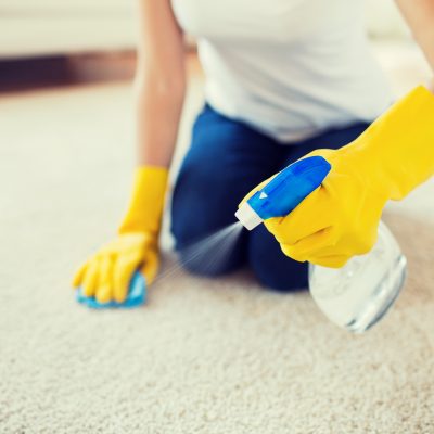 carpet cleaning services